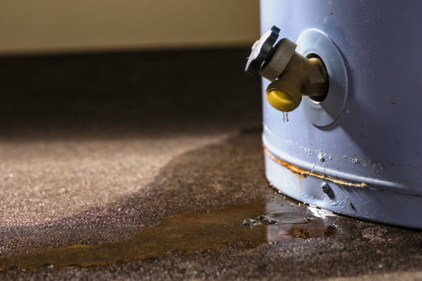 Best Emergency water extraction  in Robesonia, PA