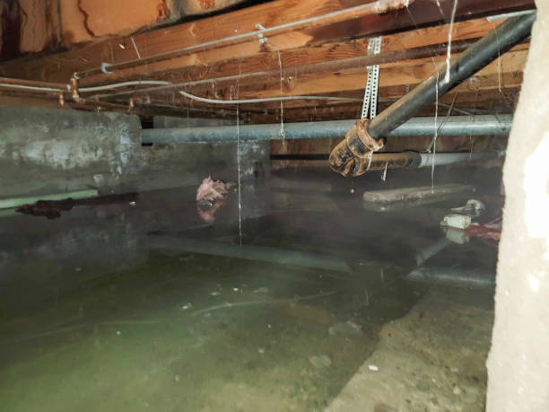 Best Water damage restoration company  in Robesonia, PA