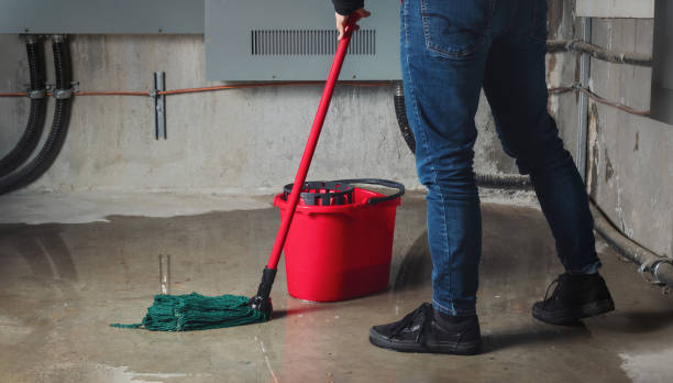 Best Basement water damage restoration  in Robesonia, PA