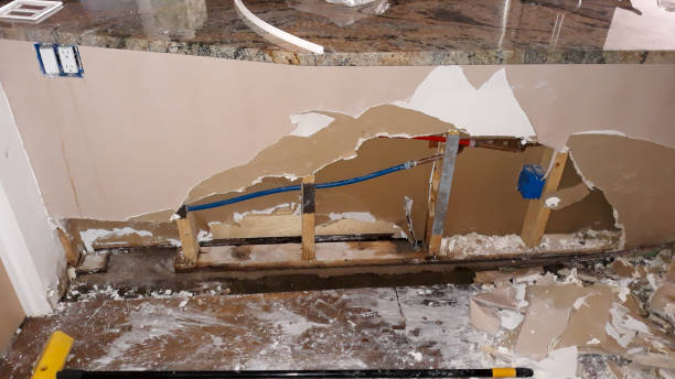Best Carpet water damage restoration  in Robesonia, PA