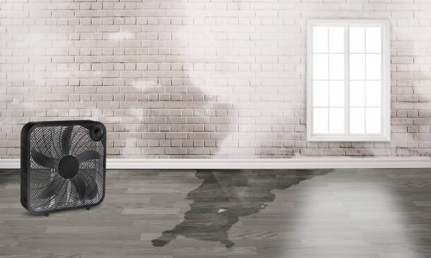 Best Water damage restoration near me  in Robesonia, PA