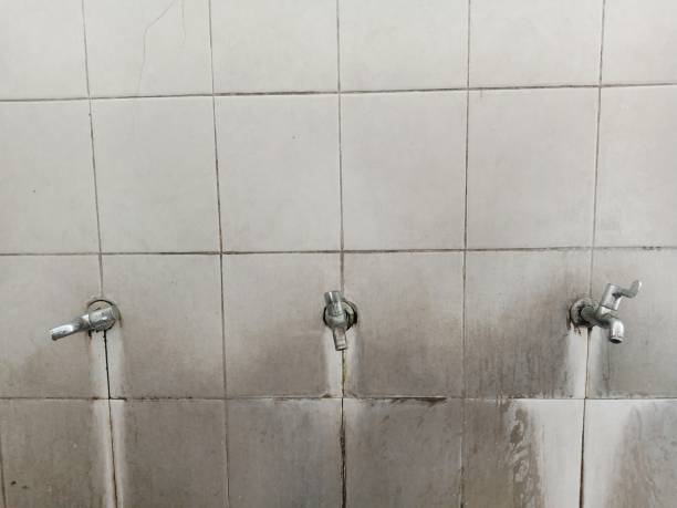 Best Fire Damage Restoration  in Robesonia, PA
