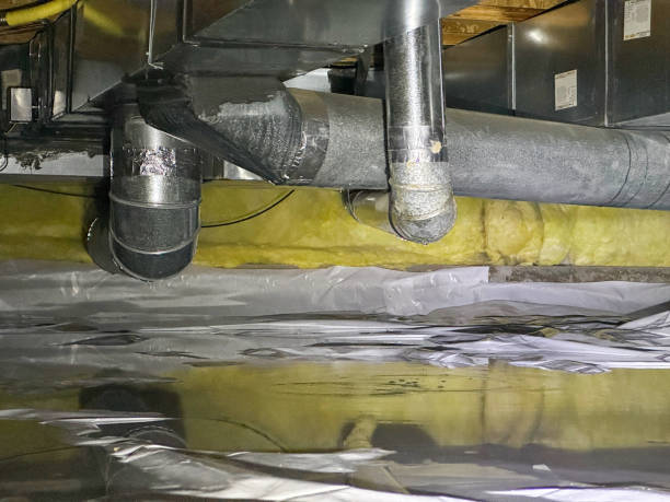 Best Sewage cleanup and water damage restoration  in Robesonia, PA