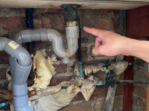 Best Local water damage restoration  in Robesonia, PA